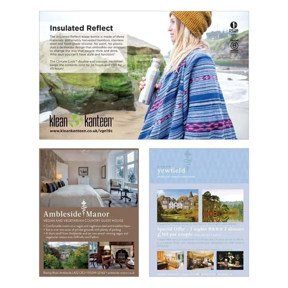 Vegan Living UK magazine March 2019 Retired Back Issue NEW